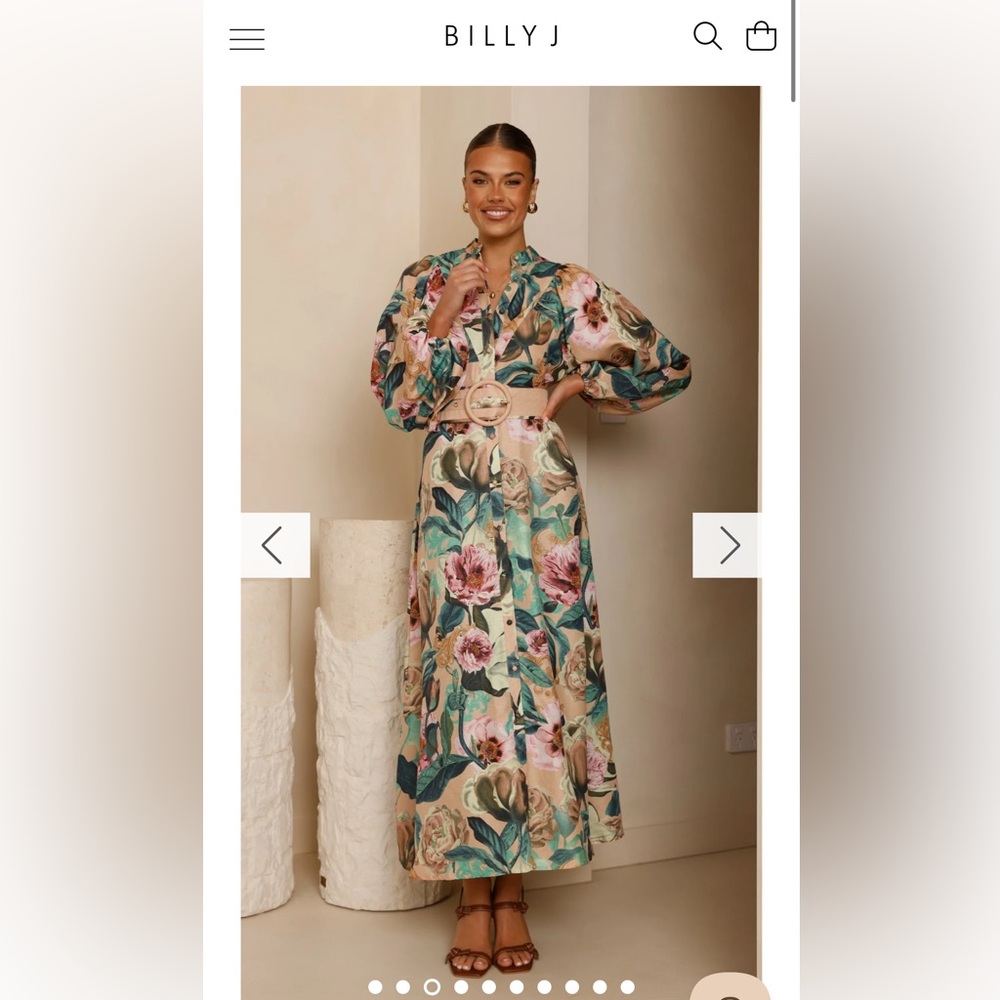 Billy J Veronica Button Down Maxi Dress - Mocha Rose Donatella sz US 6 AU 10